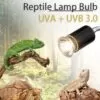 Lâmpada uv para répteis uva + uvb 3.0, lâmpadas de aquecimento e controlador de temperatura para tartaruga, - Image 4