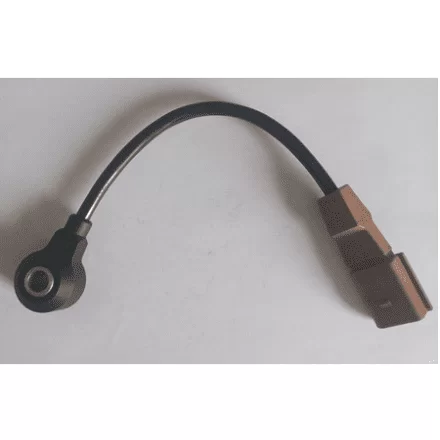 Sensor Detonação Audi A3 Aspirado Golf Passat Bora 06A905377F Siemens Novo!