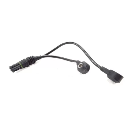 Sensor Detonação BMW X5 E46 1435485 Original Siemens